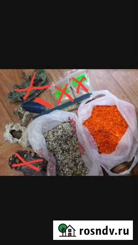 Аквариум и аксессуары Егорьевск - изображение 1