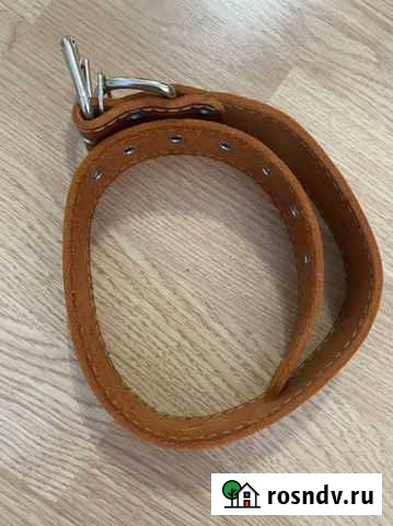 Ошейник для собаки Новоуральск - изображение 1