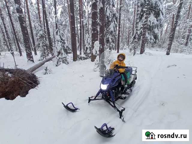 Динго 150 Кстово - изображение 1