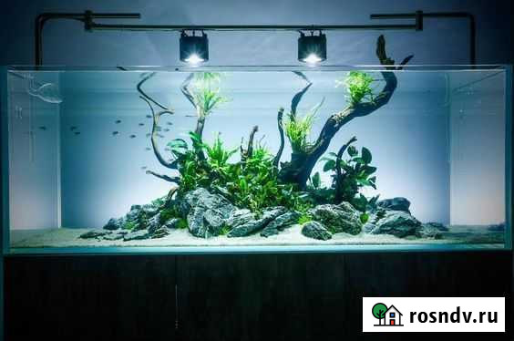 Обслуживание аквариума Астрахань - изображение 1