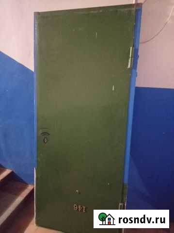 Железная дверь Чайковский - изображение 1