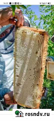 Мед Кострома - изображение 1