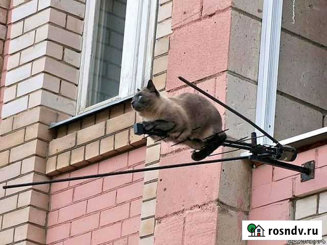 Эфирная антенна Оренбург - изображение 1