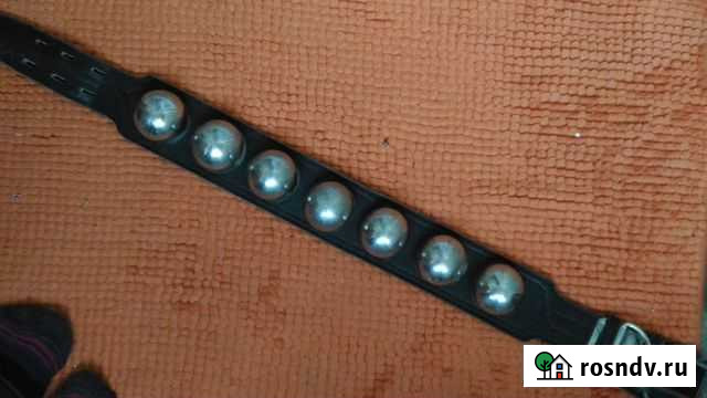 Ошейник Мурманск - изображение 1