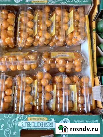 Физалис чистый лоток Санкт-Петербург - изображение 1