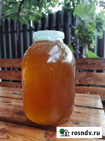 Мед Кущевская - изображение 1