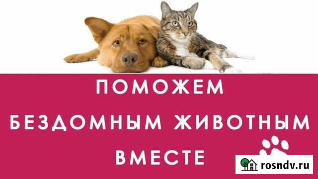 Корм для животных Ростов-на-Дону - изображение 1