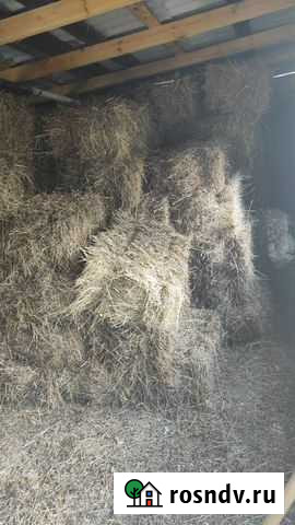 Продам сено в тюках Грозный - изображение 1
