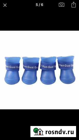 Собака, кошка, сапоги Иркутск - изображение 1