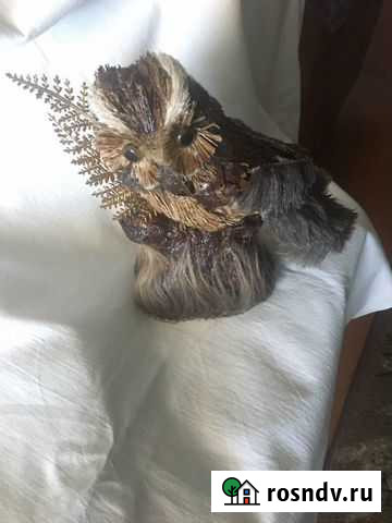 Статуэтка сова из природного материала Тарко-Сале - изображение 1