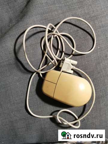 Мышь Тольятти - изображение 1