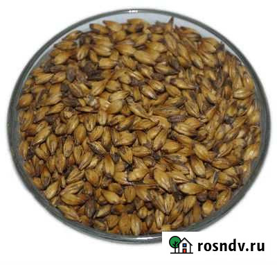 Солод Карамельный 20-200 (Курск) Челябинск - изображение 1
