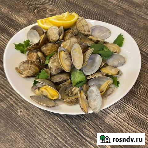 Молюск Вонголе Уфа - изображение 1