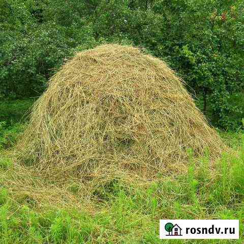 Сено луговое Венев