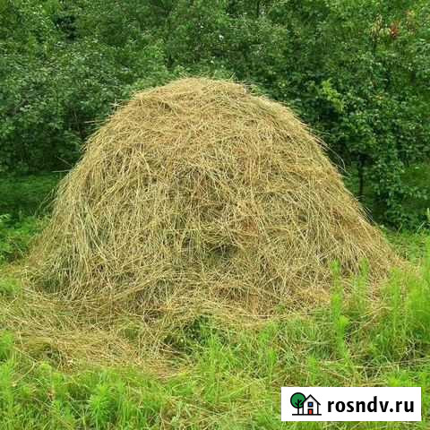 Сено луговое Венев - изображение 1