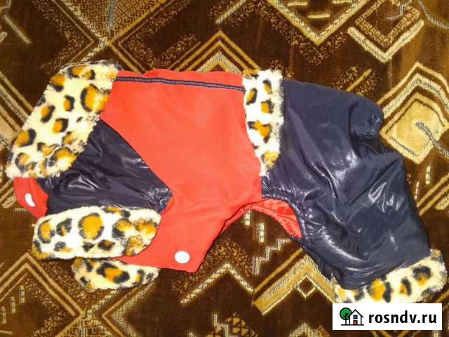 Костюм для маленькой собачки Шерегеш - изображение 1