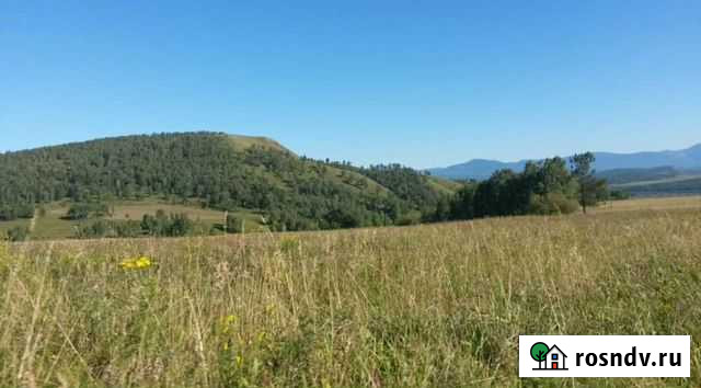 Сено в рулонах Таштып - изображение 1