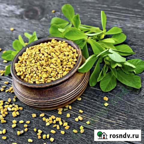 Пажитник.хельба. Источник здоровья создан природой Астрахань - изображение 1