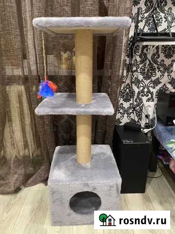 Когтеточка Казань - изображение 1