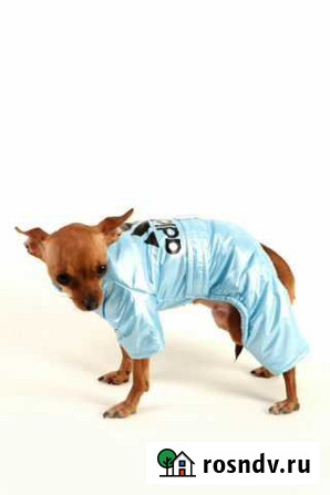 Andydog зимний комбинезон новый adidas Санкт-Петербург - изображение 1