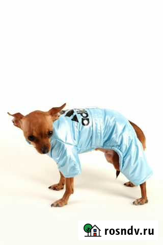 Andydog зимний комбинезон новый adidas Санкт-Петербург - изображение 1