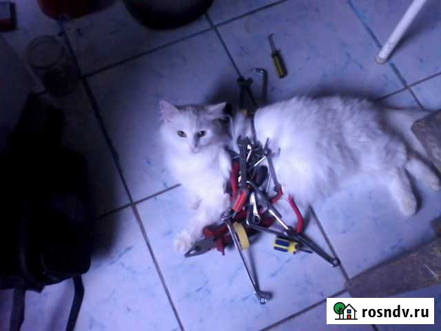 Мастер по ремонту холодильников. Ремонт холодильни Лесколово - изображение 1