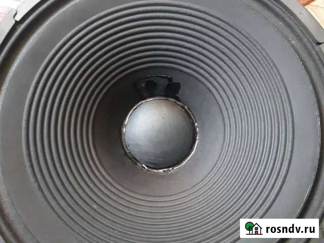Динамик Ноэма 300гдн11 Бийск - изображение 1