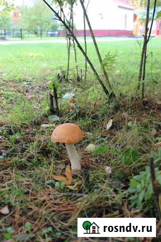 Услуги фотографа Стрежевой - изображение 1