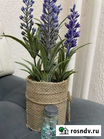 Элос эпиляция,косметология,аппаратный массаж Оренбург - изображение 1