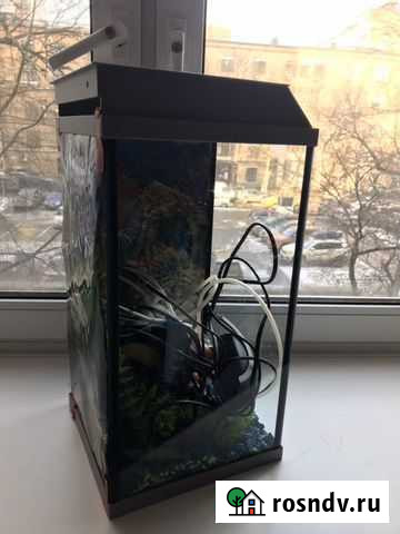 Новый аквариум террариум с полным комплектом Москва - изображение 1