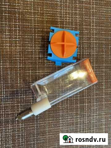 Хомячки Мурманск - изображение 1