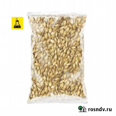 Ячмень для самогона, 1 кг Омск - изображение 1