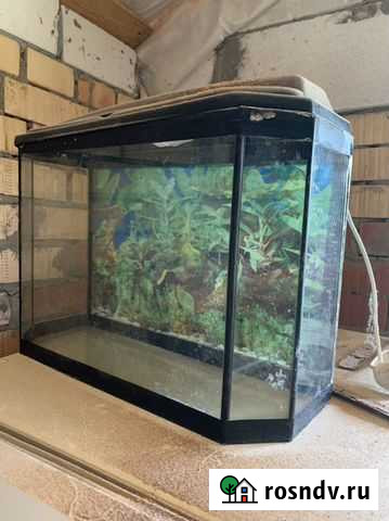 Аквариум Нижний Новгород - изображение 1