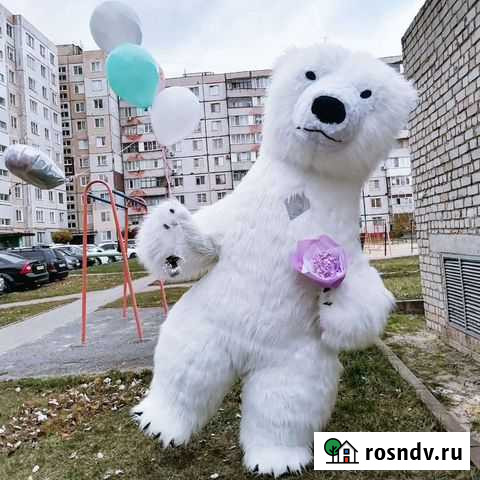 Поздравление от Медведя Старый Оскол - изображение 1