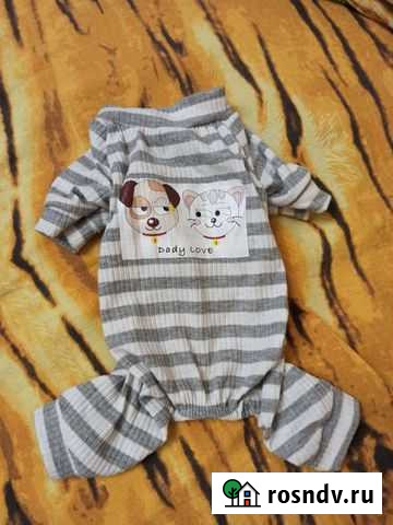 Комбинезон для маленькой собаки Курск - изображение 1