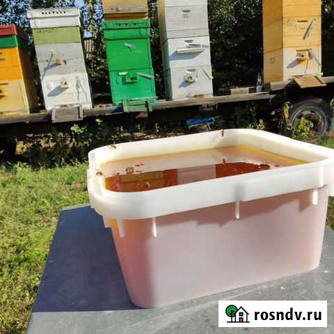 Мёд оптом Санкт-Петербург - изображение 1