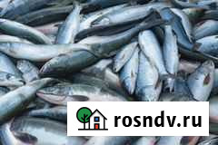 Горбуша Камчатка пбг Мытищи - изображение 1