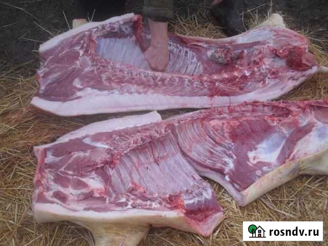 Свинина домашняя мясо с личного подворья Ростов-на-Дону - изображение 1
