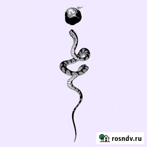 Уборка, генеральная уборка Курск - изображение 1