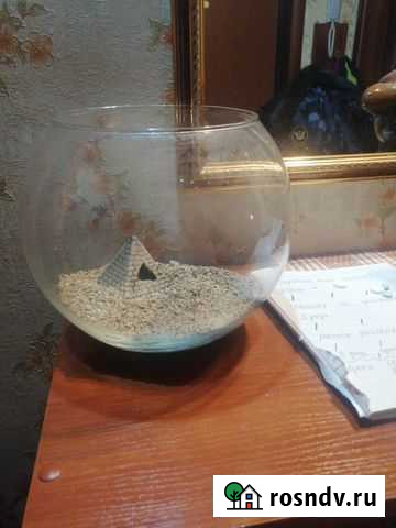 Аквариум Нижний Тагил - изображение 1