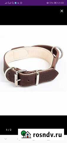 Ошейник для собак Воронеж - изображение 1