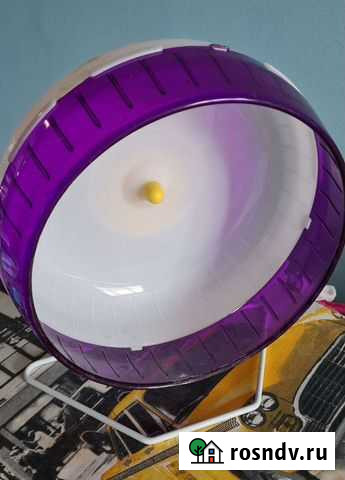 Колесо для грызунов Гатчина - изображение 1