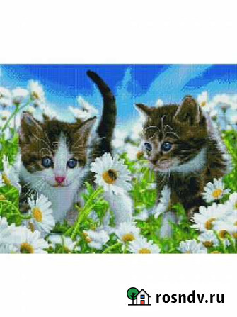 Алмазная мозаика Paintboy Котята в ромашках 40*50 Новосибирск - изображение 1