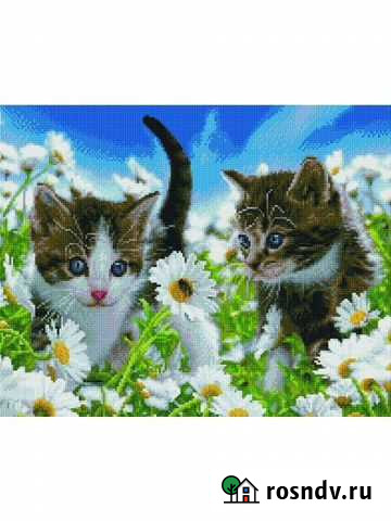 Алмазная мозаика Paintboy Котята в ромашках 40*50 Новосибирск - изображение 1