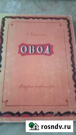 Войнич овод 1954г. художник коровин Омск - изображение 1