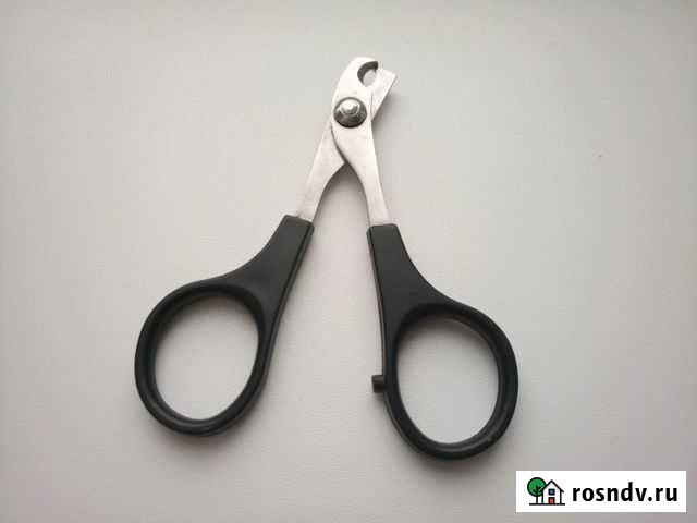 Когтерез для кошек Санкт-Петербург - изображение 1