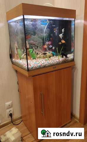 Аквариум с тумбой 120 литров juwel Красноярск - изображение 1