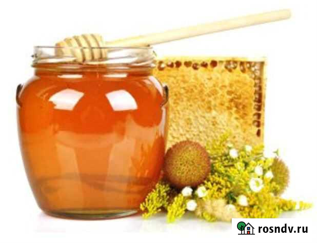 Мед донниковый Москва - изображение 1