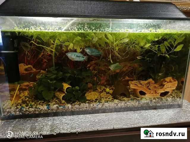 Аквариум Гидроторф - изображение 1