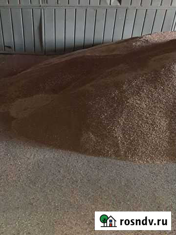 Ячмень Батайск - изображение 1